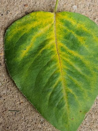 하나라도 소중하게님의 배 · 일상 작성글 사진