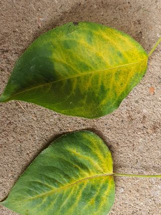 하나라도 소중하게님의 배 · 일상 작성글 사진
