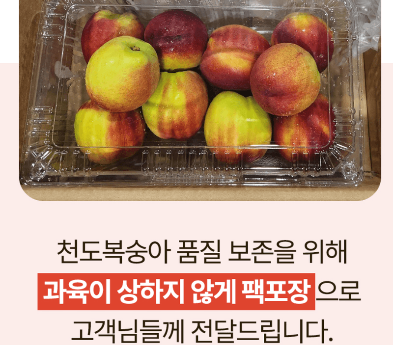 스피드번님의 장터 판매 상품 [고당도 천도복숭아] 첨부 사진