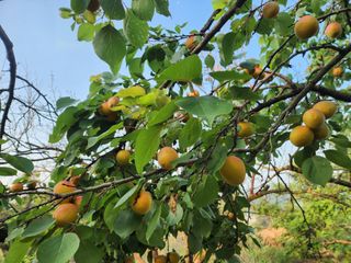 김육환님의 작성글 사진