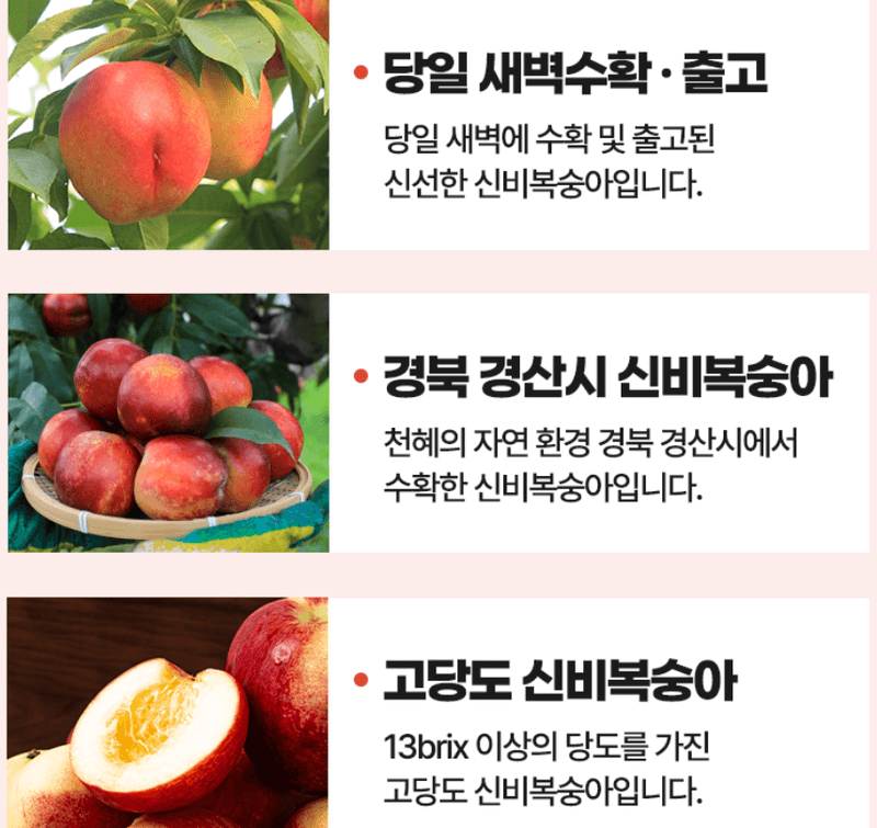 스피드번님의 장터 판매 상품 [고당도 신비복숭아] 첨부 사진