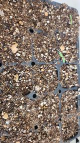 팜모닝 자유주제·자유게시판 게시글 이미지