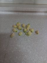 팜모닝 자유주제·자유게시판 게시글 이미지