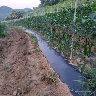 오영도님의 자유주제 · 자유게시판 작성글 사진