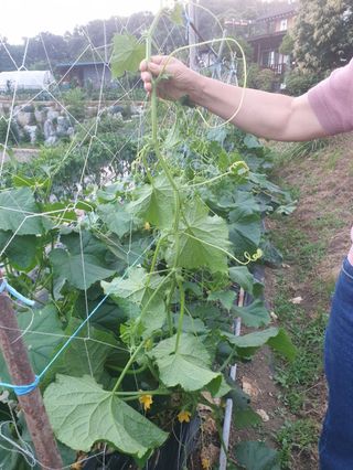 마늘16716님의 자유주제 · 자유게시판 작성글 사진