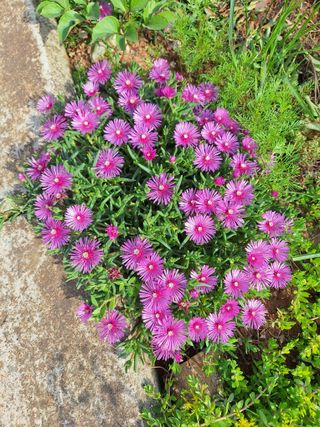 김은숙님의 작성글 사진