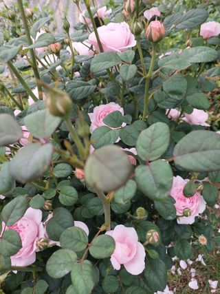 재연농장님의 자유주제 · 자유게시판 작성글 사진