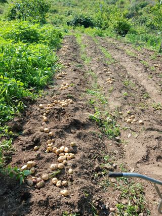 박지성 님의 자유주제 · 자유게시판 작성글 사진