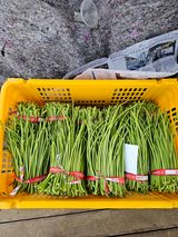 팜모닝 자유주제·자유게시판 게시글 이미지