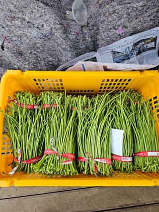 이부균님의 자유주제 · 자유게시판 작성글 사진