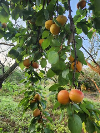 김육환님의 작성글 사진