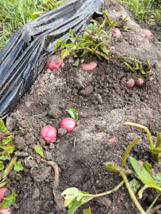 송명자님의 자유주제 · 자유게시판 작성글 사진
