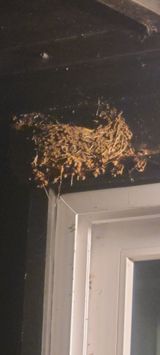 팜모닝 자유주제·자유게시판 게시글 이미지