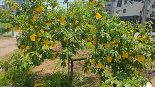 김인곤님의 자유주제 · 사진전 작성글 사진