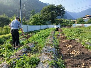 송명자님의 자유주제 · 자유게시판 작성글 사진