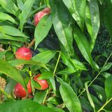 팜모닝 자유주제·자유게시판 게시글 이미지