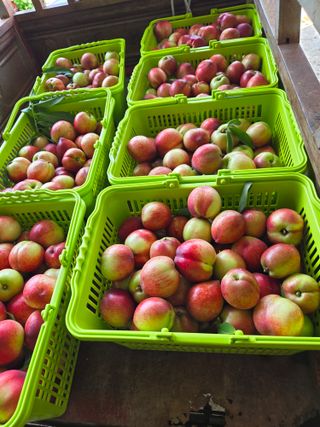 방촌대장님의 자유주제 · 자유게시판 작성글 사진