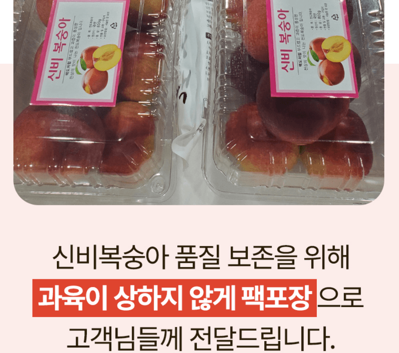 스피드번님의 장터 판매 상품 [고당도 신비복숭아] 첨부 사진
