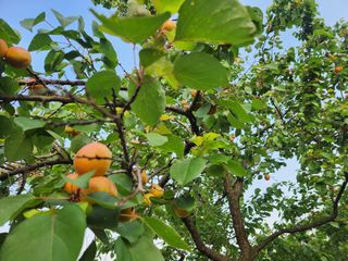 김육환님의 작성글 사진