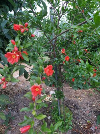 재연농장님의 자유주제 · 자유게시판 작성글 사진