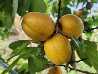 김육환님의 작성글 사진