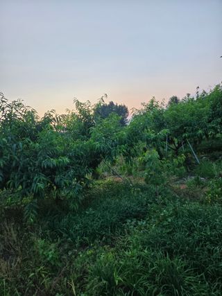 방촌대장님의 자유주제 · 자유게시판 작성글 사진