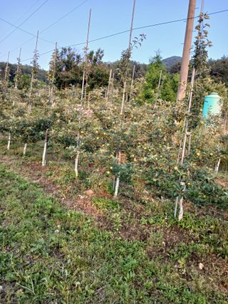 황영래님의 자유주제 · 자유게시판 작성글 사진