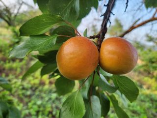 김육환님의 작성글 사진