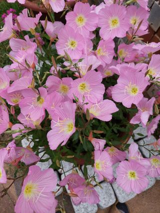 재연농장님의 자유주제 · 자유게시판 작성글 사진