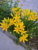 팜모닝 자유주제·자유게시판 게시글 이미지