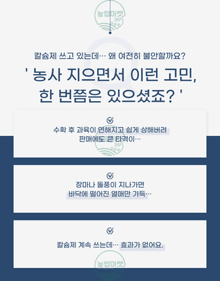 농업마켓365님의 작성글 사진