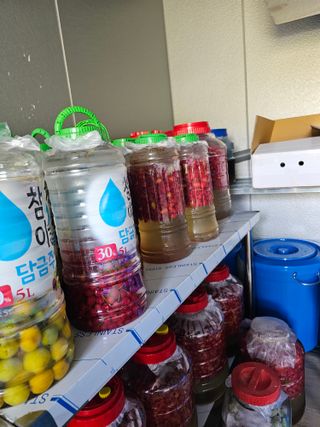 왕개미님의 자유주제 · 사진전 작성글 사진