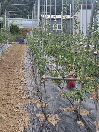 손기홍님의 자유주제 · 자유게시판 작성글 사진