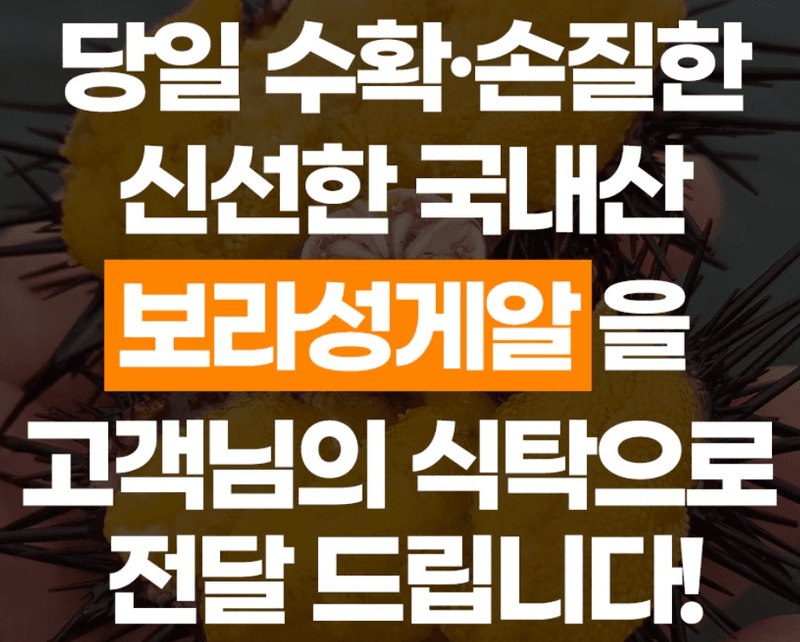 스피드번님의 장터 판매 상품 [국내산 보라성게알] 첨부 사진