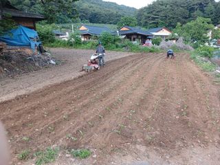 알 수 없음님의 자유주제 · 자유게시판 작성글 사진