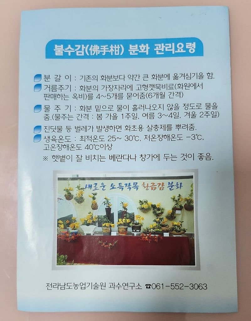 정미리님의 장터 판매 상품 [갈아만든 냉동 불수감 1.5kg] 첨부 사진