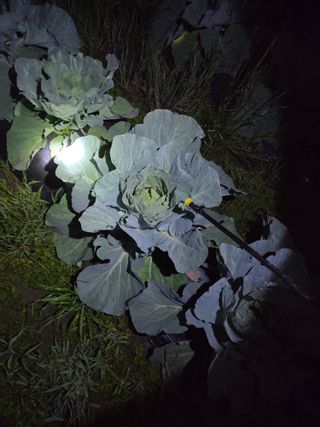 나상인님의 자유주제 · 자유게시판 작성글 사진