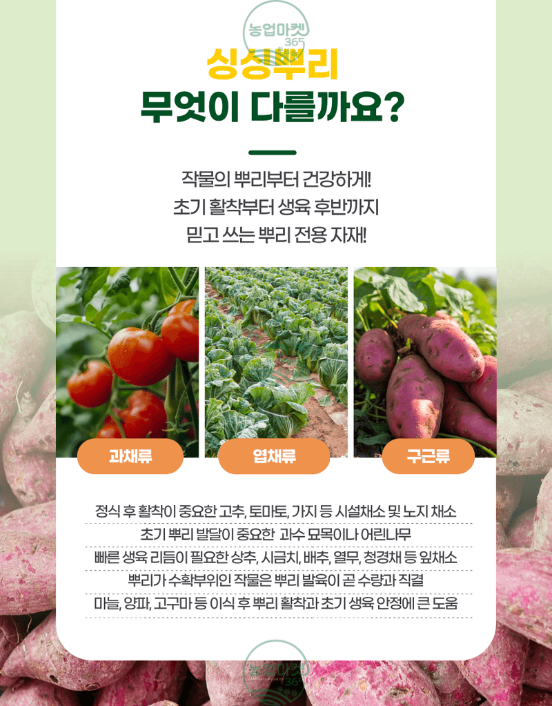 농업마켓365님의 장터 판매 상품 [농업마켓365 융전 싱싱뿌리 액제 500ml 뿌리발근제 뿌리활력 아미노산 새뿌리발달 염류장해 토양개량 육묘 텃밭 ] 첨부 사진