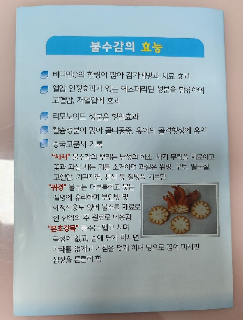 정미리님의 장터 판매 상품 [갈아만든 냉동 불수감 1.5kg] 첨부 사진