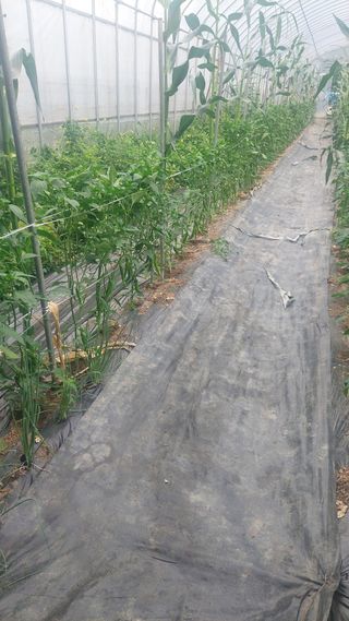 강원도 횡성군님의 자유주제 · 자유게시판 작성글 사진