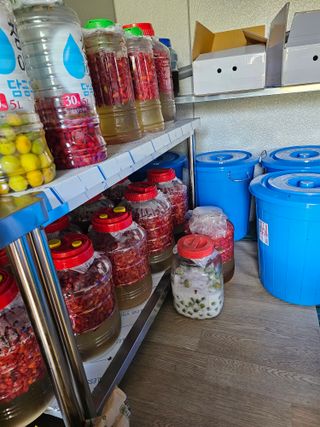 왕개미님의 자유주제 · 사진전 작성글 사진