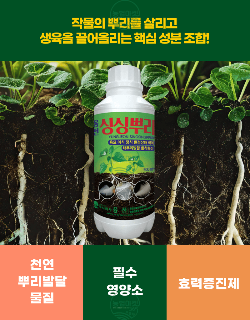 농업마켓365님의 장터 판매 상품 [농업마켓365 융전 싱싱뿌리 액제 500ml 뿌리발근제 뿌리활력 아미노산 새뿌리발달 염류장해 토양개량 육묘 텃밭 ] 첨부 사진