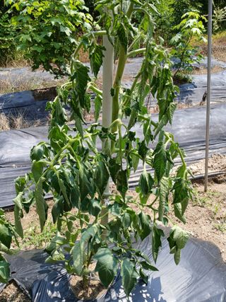 윤은정님의 자유주제 · 자유게시판 작성글 사진