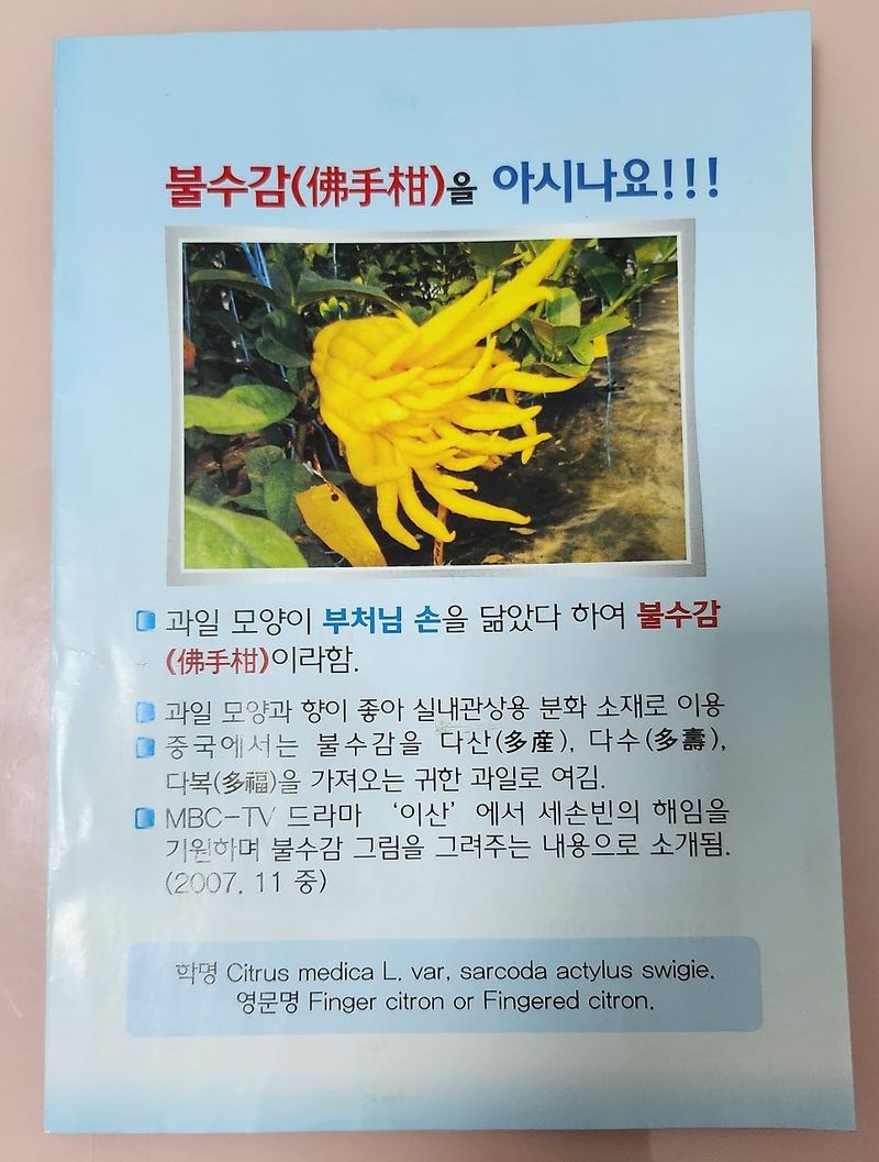 정미리님의 장터 판매 상품 [갈아만든 냉동 불수감 1.5kg] 첨부 사진