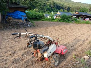 알 수 없음님의 자유주제 · 자유게시판 작성글 사진