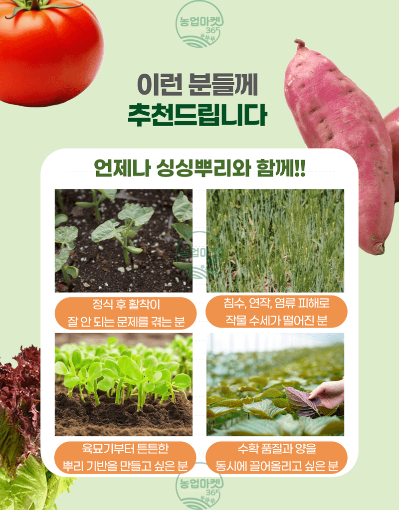 농업마켓365님의 장터 판매 상품 [농업마켓365 융전 싱싱뿌리 액제 500ml 뿌리발근제 뿌리활력 아미노산 새뿌리발달 염류장해 토양개량 육묘 텃밭 ] 첨부 사진
