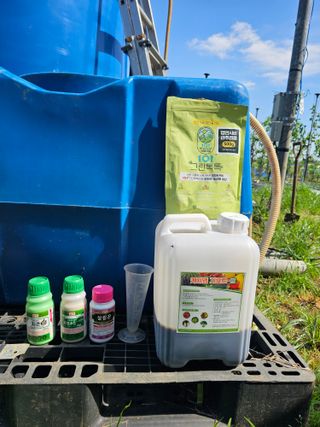 망운천지향토농원님의 자유주제 · 자유게시판 작성글 사진