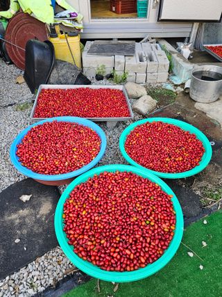 왕개미님의 자유주제 · 사진전 작성글 사진