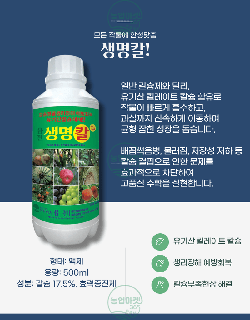농업마켓365님의 장터 판매 상품 [농업마켓365 융전 생명칼 액제 500ml 유기산킬레이트 칼슘제 칼슘회복 칼슘결핍 비료 텃밭 주말농장 사과 배 고추] 첨부 사진