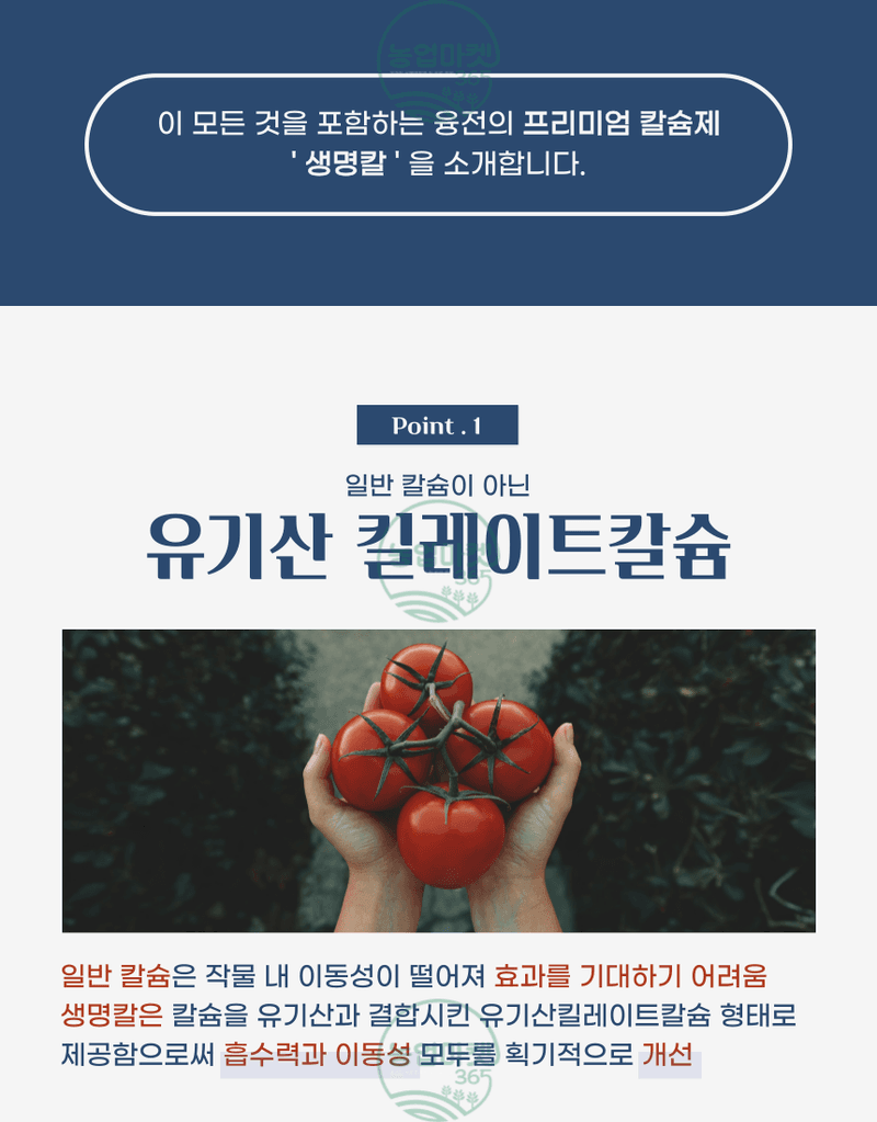 농업마켓365님의 장터 판매 상품 [농업마켓365 융전 생명칼 액제 500ml 유기산킬레이트 칼슘제 칼슘회복 칼슘결핍 비료 텃밭 주말농장 사과 배 고추] 첨부 사진